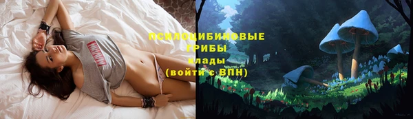 прущие грибы Пестово