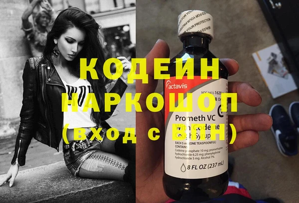 прущие грибы Пестово