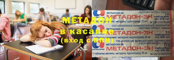 прущие грибы Пестово