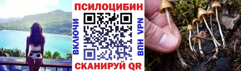 Галлюциногенные грибы MAGIC MUSHROOMS  купить наркоту  Ардон 
