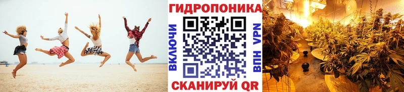 маркетплейс телеграм  Ардон  Каннабис Ganja 